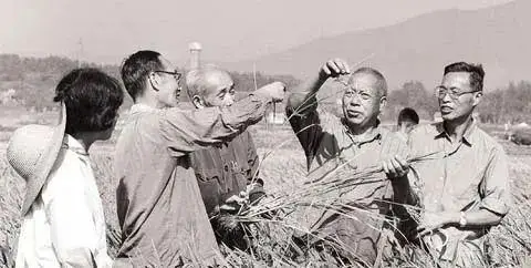伟德体育 - 综合体育赛事平台|奥体中心合作伙伴